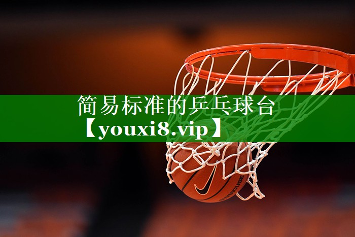 简易标准的乒乓球台
