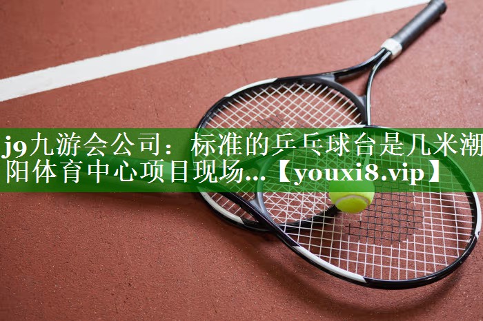 j9九游会公司：标准的乒乓球台是几米潮阳体育中心项目现场…