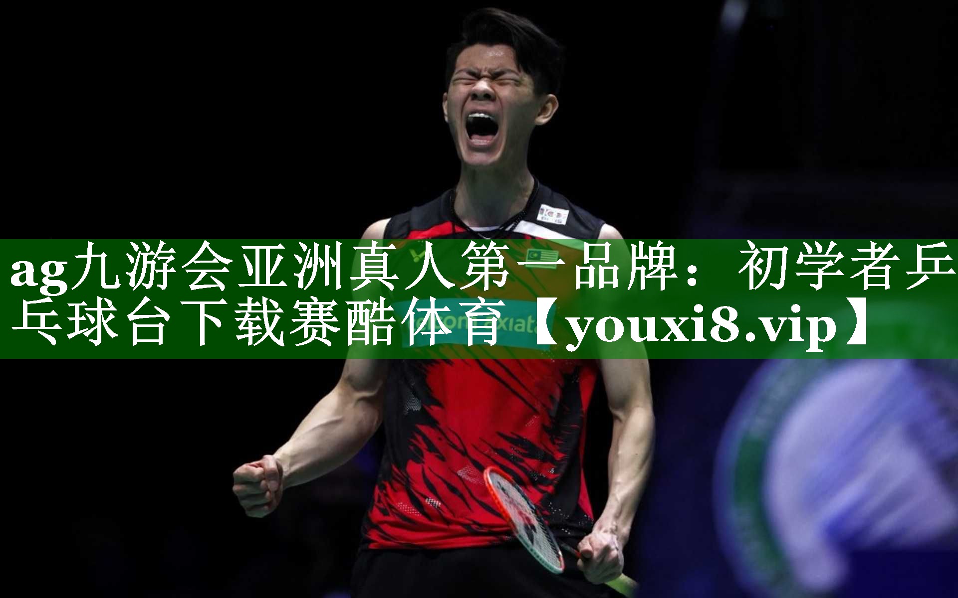 ag九游会亚洲真人第一品牌：初学者乒乓球台下载赛酷体育
