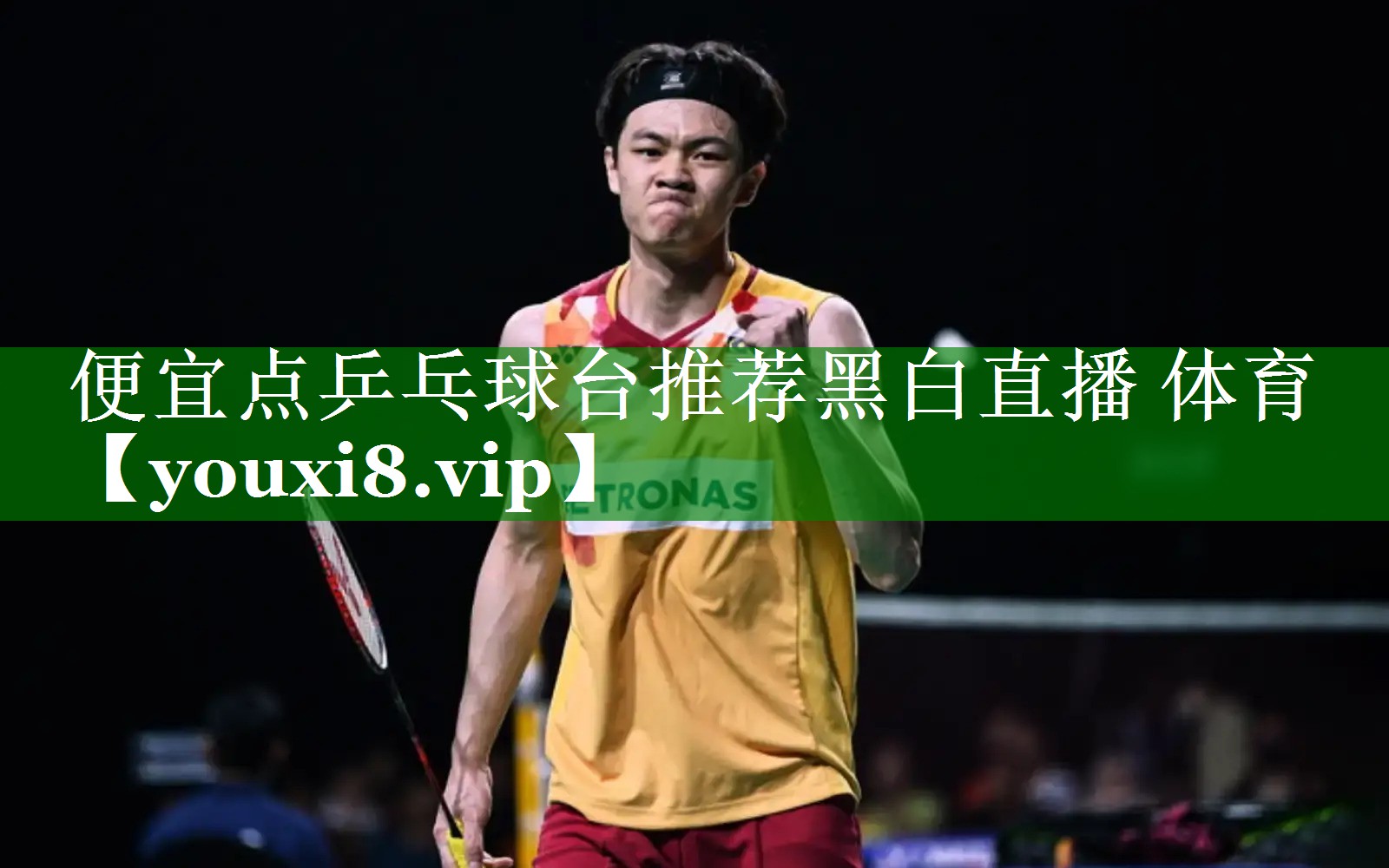 便宜点乒乓球台推荐黑白直播 体育
