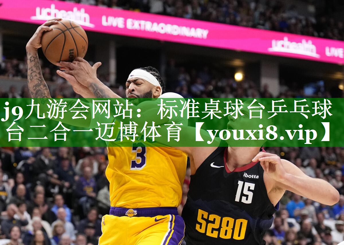 j9九游会网站：标准桌球台乒乓球台二合一迈博体育