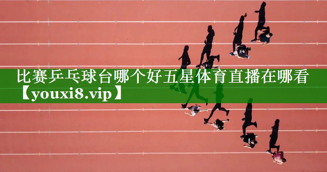 比赛乒乓球台哪个好五星体育直播在哪看