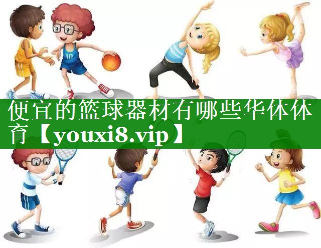 便宜的篮球器材有哪些华体体育
