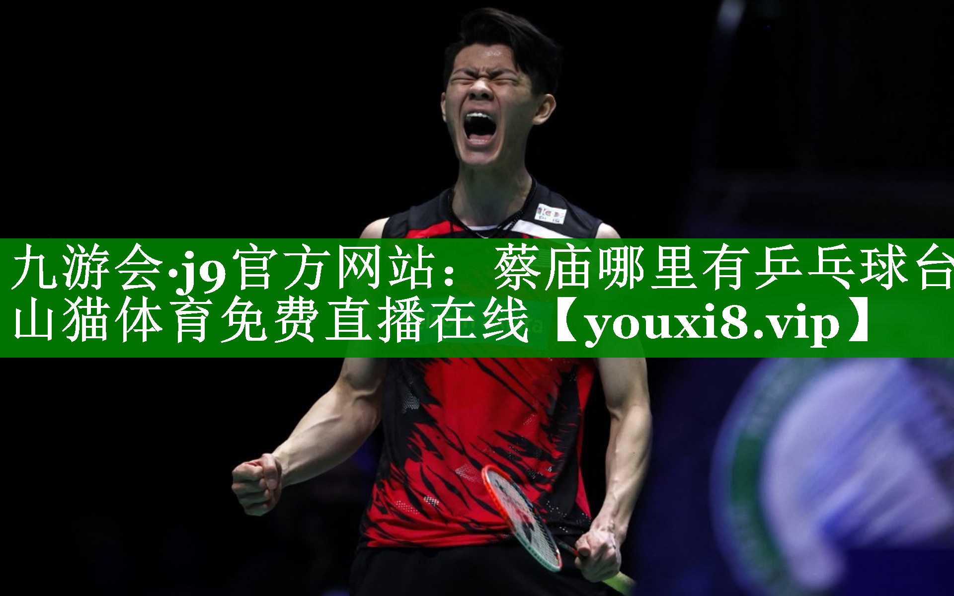 九游会·j9官方网站：蔡庙哪里有乒乓球台山猫体育免费直播在线