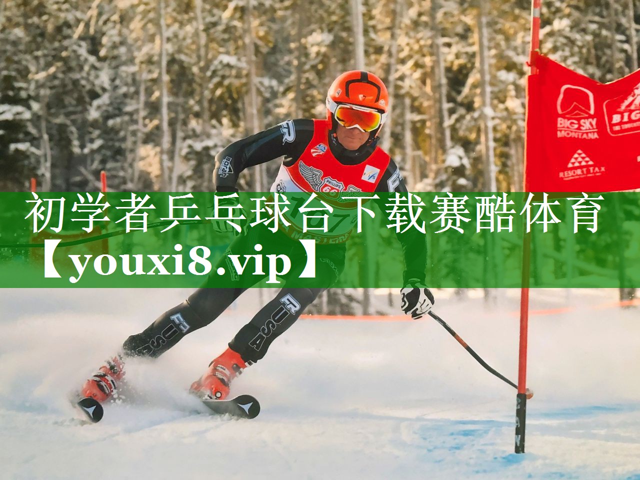 初学者乒乓球台下载赛酷体育