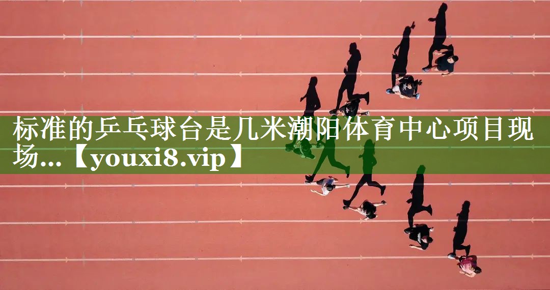 标准的乒乓球台是几米潮阳体育中心项目现场…