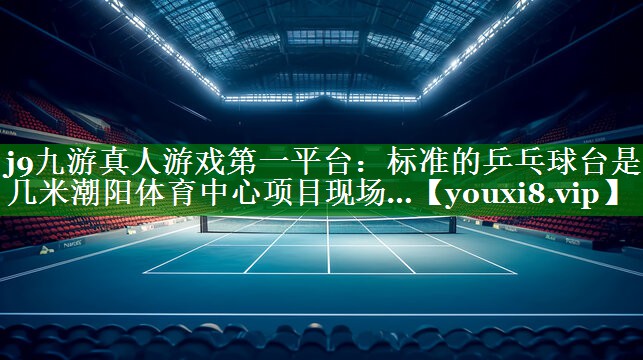 j9九游真人游戏第一平台：标准的乒乓球台是几米潮阳体育中心项目现场…