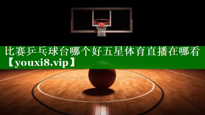 比赛乒乓球台哪个好五星体育直播在哪看
