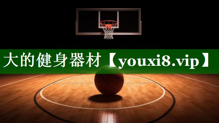 大的健身器材 大的健身器材
