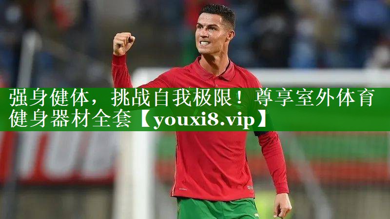 强身健体,挑战自我极限!尊享室外体育健身器材全套 强身健体,挑战自我极限!尊享室外体育健身器材全套