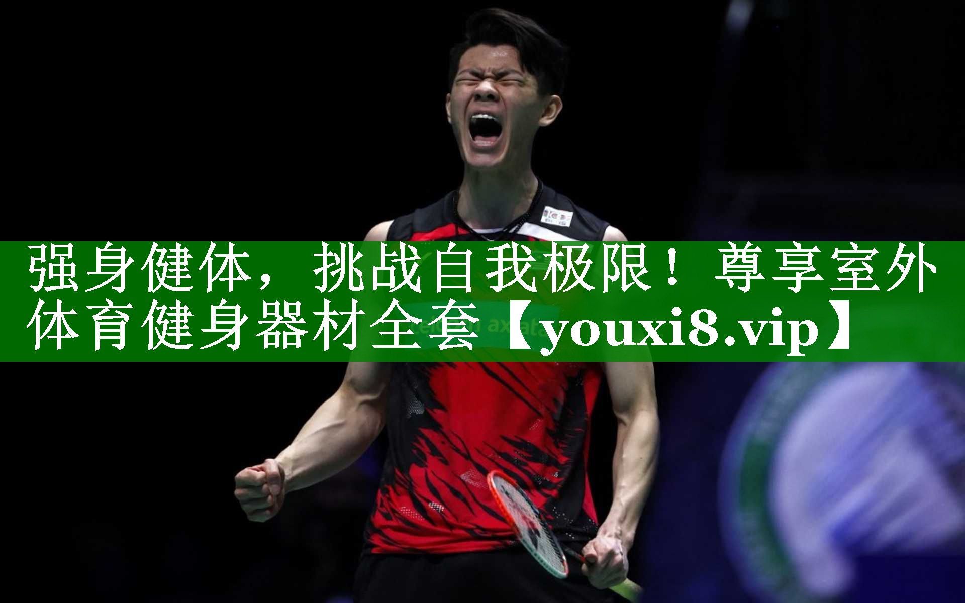 强身健体,挑战自我极限!尊享室外体育健身器材全套 强身健体,挑战自我极限!尊享室外体育健身器材全套